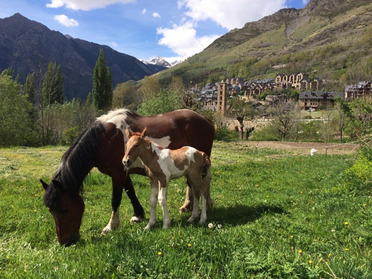 Hostal Rural Sant Climent Taull Luaran gambar